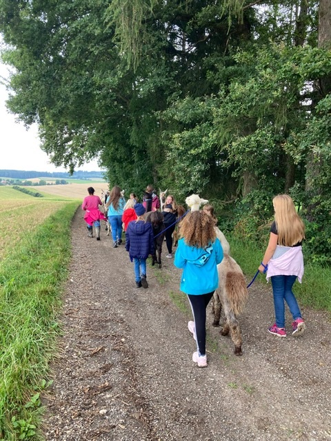 Alpakahof_4_2021 Alpakahof_4_2021